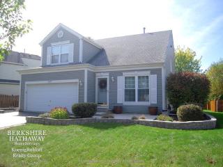 1627 Gleneagle Dr, Carpentersville, IL 60110-3310