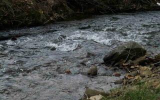 6954 Fly Rod Ln, Hiawassee, GA 30546-2989