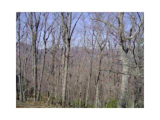 2603 Stone Ridge Ct, Big Canoe, GA 30143