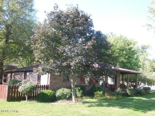 102 Park Ave, Flora, IL 62839-2229