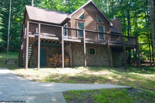 868 Cabin Mountain Rd, Canaan Valley, WV 26260