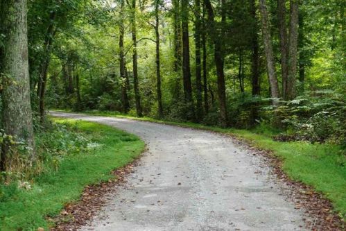 685 Duck Rd, Sugar Tree, TN 38380-5059