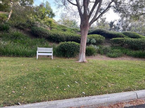1125 Via Buena Vis, San Marcos, CA 92078-5186
