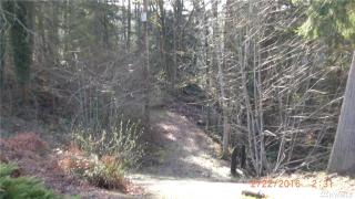 14909 175th Ave, Seattle, WA 98059-8037