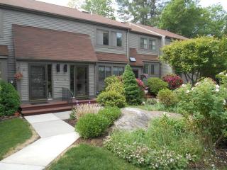 36 Wickhams Fancy, Collinsville, CT 06019-3223