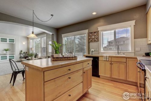 1827 Golden Willow Ct, Fort Collins CO  80528-6391 exterior