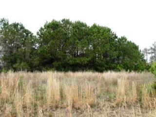 708 Captains Pt, Cape Lookout National Seasho, NC 28516-9705