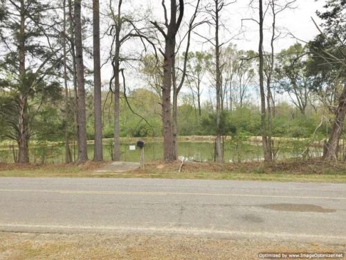 8623 Castalian Springs Rd, Durant, MS 39063-2406