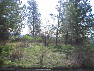 2959 22nd Ave, Spokane WA  99224-4714 exterior