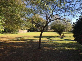 505 Hill Ave, Valdosta, GA 31601-5821