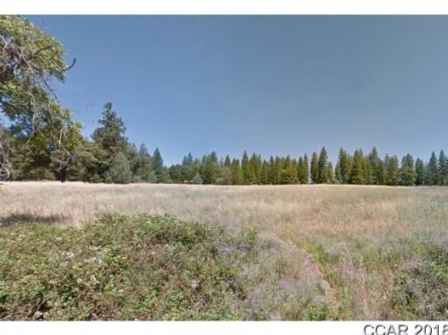 19625 Hale Rd, Volcano, CA 95689-9682