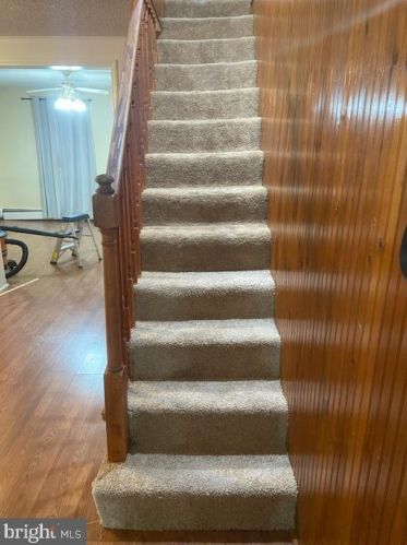 220 Bacon St, Primrose PA 17901-3902 exterior