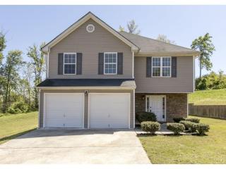 11038 Shadow Creek Ter, Hampton, GA 30228-4056