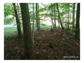 111 Ladd Rdg, Rosman, NC 28772-9721