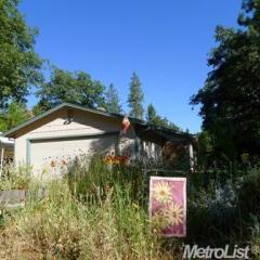 4931 Bush Tail Rd, Swansboro Country, CA 95667-9259