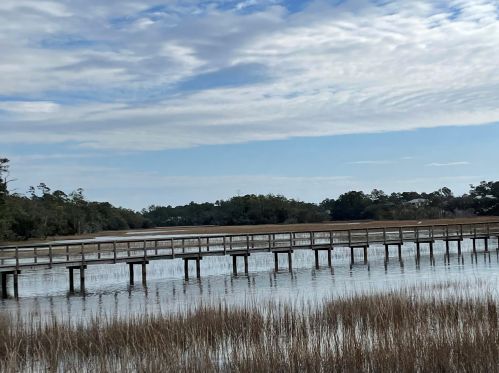 165 Etiwan Pointe Dr, Mount Pleasant, SC 29464-7929