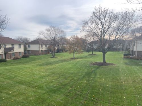 905 Kings Row, Palatine, IL 60074-1876