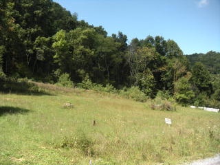 454 Eastview Heights Rd, Lerona, WV 25971-9390