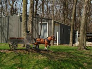 2986 158th Ave, Richland Grove, IL 61281-8576