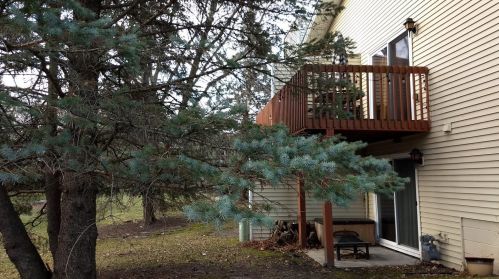 5986 Dellwood Ave, Saint Paul MN  55126-8454 exterior