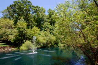 3 Claridge Ct, Greensboro, NC 27407-7665