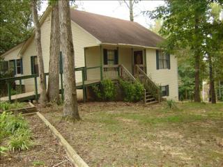 5039 Highway 100, Reagan, TN 38368-7331