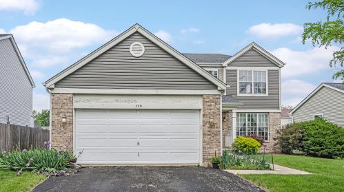 529 Larkspur Dr, Lemont, IL 60440-4809