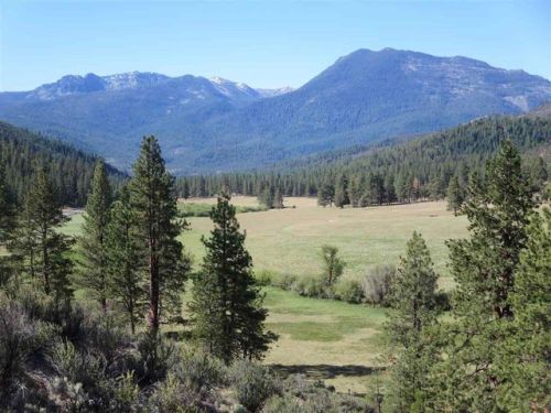 326 Gazelle Callahan Rd, Callahan, CA 96014-9308