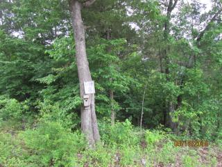 295 Shore Acres Dr, Powersite, MO 65731-3143