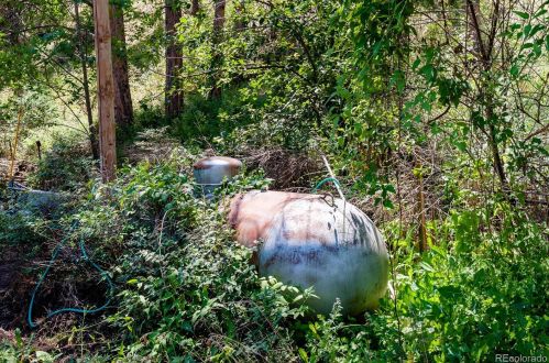 408 Platte Riv Rd, Deckers CO 80135-9225 exterior