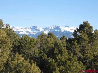 2034 Ponderosa Dr, Ridgway, CO 81432