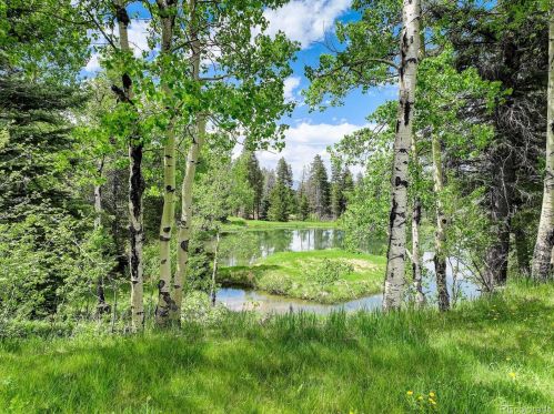 9148 Black Mtn Dr, Conifer CO 80433-9714 exterior