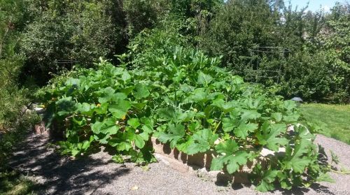 180 Estes St, Denver CO  80215-1791 exterior