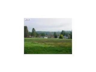 971 4th Ave, Vernonia, OR 97064-1084