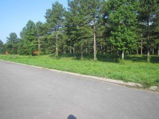 155 Rivers Edge Ln, Benton, TN 37307-5633