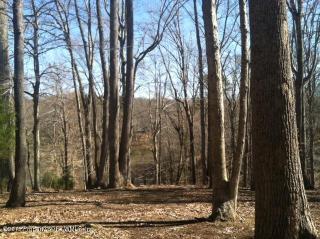 212 William Claiborne, Williamsburg, VA