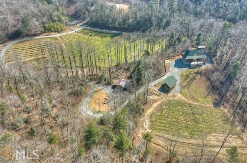 919 Jones Mill Rd, Ellijay, GA 30540-0004