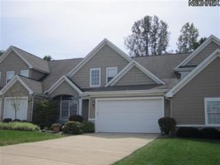 29369 Hummingbird Cir, Cleveland OH 44145-5287 exterior