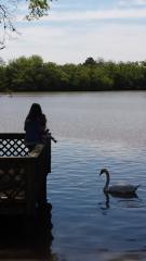 902 Genova St, Sugar Land TX  77478-3412 exterior