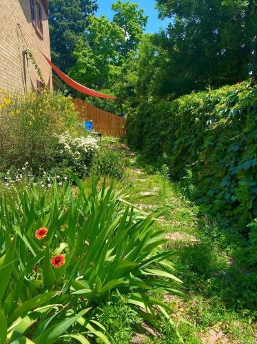 165 Cedar Ave, Denver CO  80209-1605 exterior