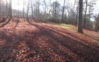 1 Hummingbird Ln, Ellijay, GA 30540-4311