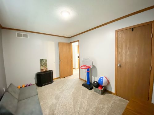 114 Aerl St, Swygert IL  61764-2202 exterior
