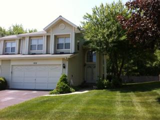 906 Dighton Ln, Schaumburg IL  60173-5932 exterior