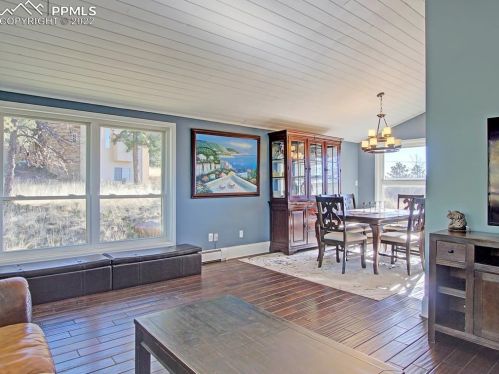 115 High Vw Cir, Woodland Park CO 80863-9405 exterior