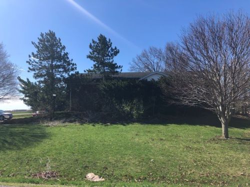 523 County Road 300, Sadorus, IL 61872-9781