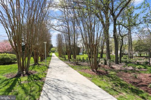 3702 Bloomsbury Ct, Silver Spring MD 20906-1405 exterior