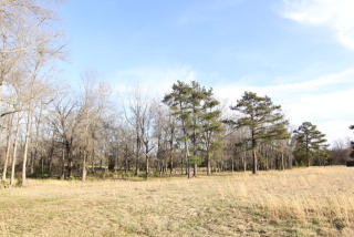 309 Flatwood Rd, Hodges, SC 29653-9495