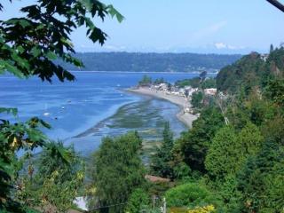 2469 172nd St, Seattle WA  98166-3255 exterior