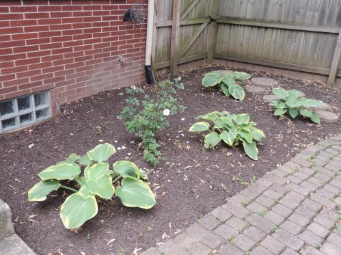 1305 Wood St, Valpo IN 46383-5140 exterior