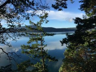 136 Perch Tree Ln, Eastsound, WA 98245-9484